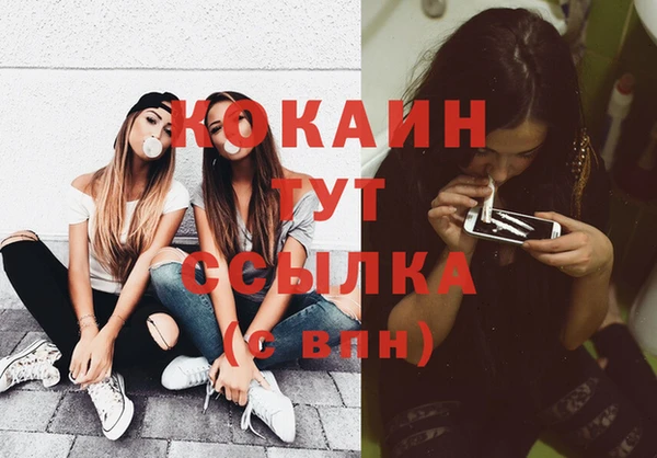 круглые Гусев