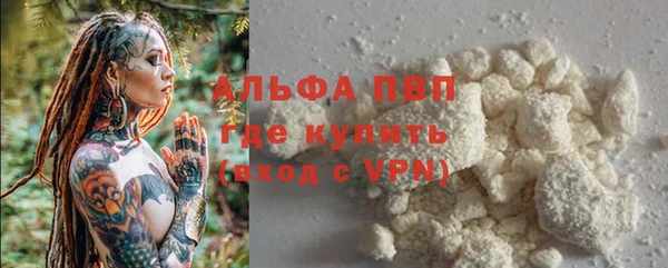 шишки Мегион